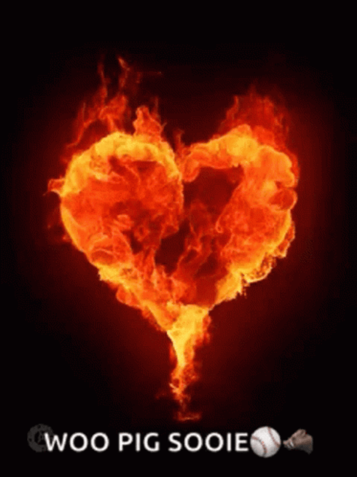 Woo Pig GIFs