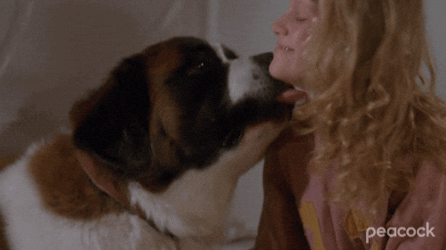 Woof GIFs