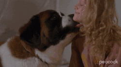Woof GIFs