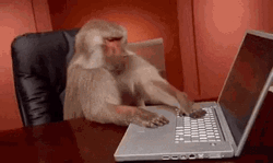 Work GIFs