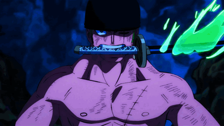 Zoro Vs King GIFs