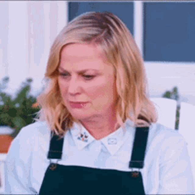 Amy Poehler Confused Reaction GIF