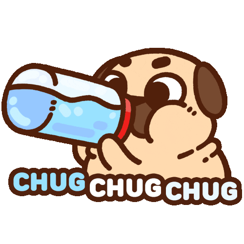 Animated Cute Puglie Pug Dog Drink Water GIF 