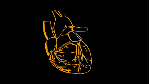 Beating Heart Neon Glow Animation GIF 