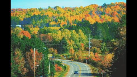 Beautiful Nature Fall Glitch GIF 