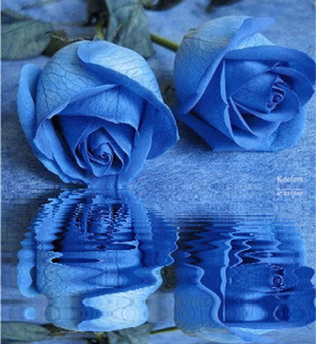Blue Tumblr Flower Water Reflection GIF | GIFDB.com