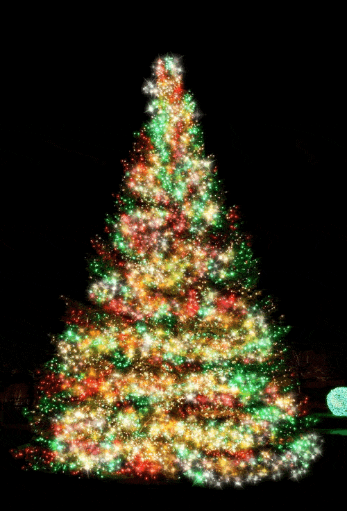 Christmas Tree Colorful Lights Shine GIF 