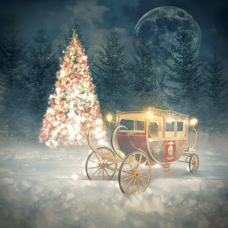Christmas Tree Magic Carriage Night GIF