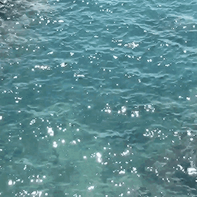 Clear Water Sparkling Waves GIF 