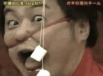 Funny Japanese Game Show GIF 