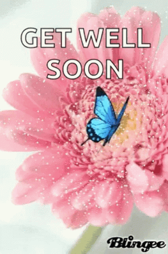 Get Well Gif File 326kb GIF | GIFDB.com