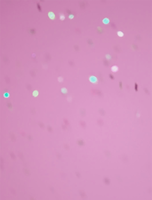 Glitter Confetti Scattered Falling GIF 