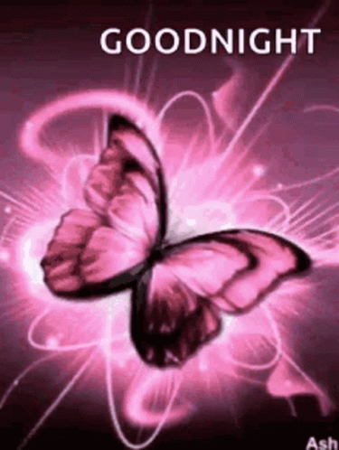 Glowing Pink Good Night Butterflies GIF | GIFDB.com