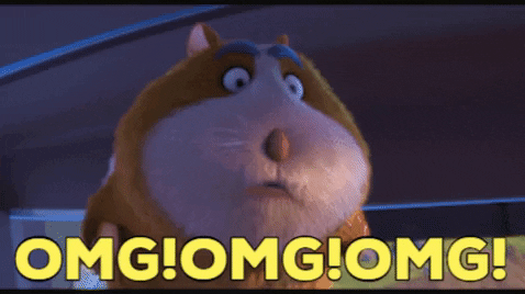 Guinea Pig Animation Omg Reaction GIF 