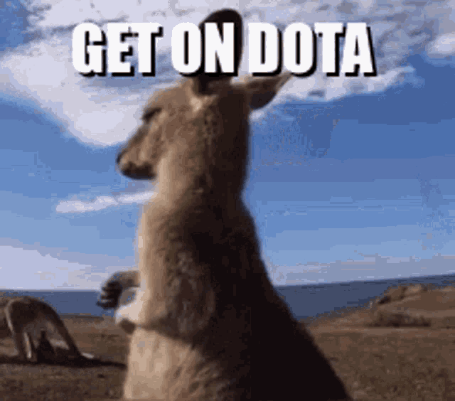 Kangaroo Get On Dota GIF