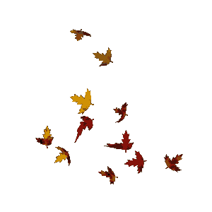 Leaves Dance Along The Wind GIF 