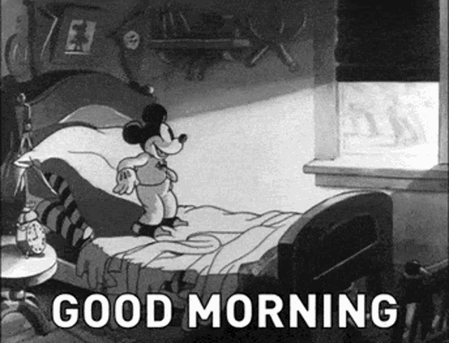 Mickey Mouse And Pluto Good Morning Cartoon GIF 