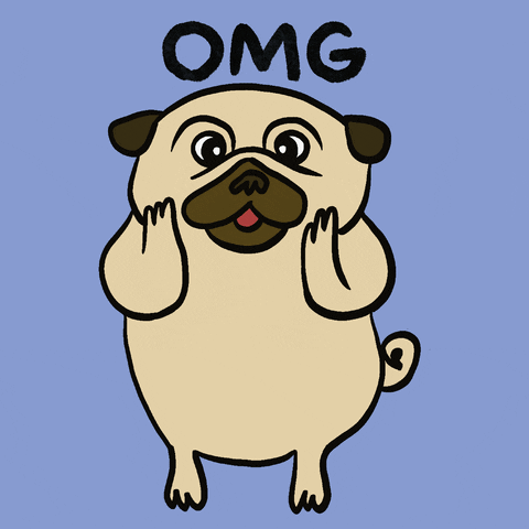Omg Wiggling Pug Dog GIF GIFDB