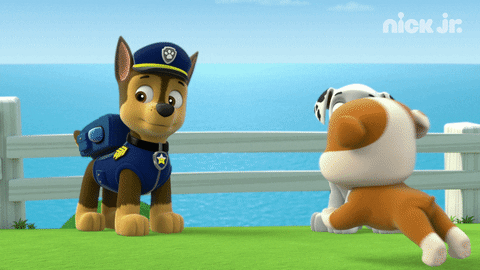 paw-patrol-excited-puppy-gif-gifdb