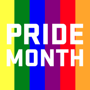 Pride Month Rainbow Flag GIF | GIFDB.com