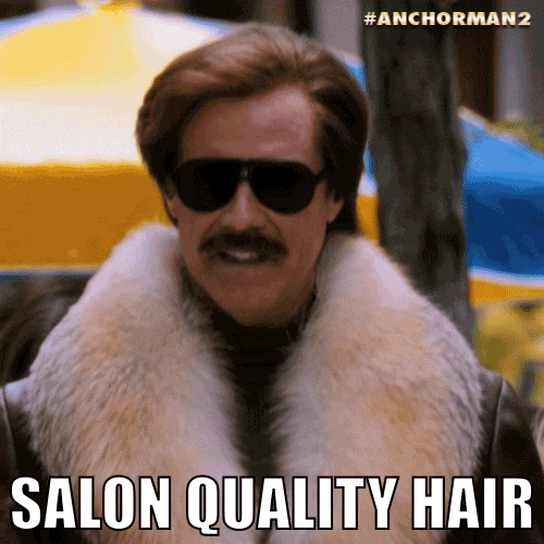 Ron Burgundy Cool Handsome Hair Sunglasses GIF