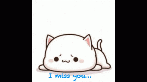 Sad Cat I Miss You GIF | GIFDB.com