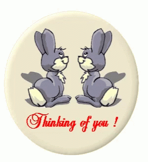 Thinking Of You Bunnies GIF | GIFDB.com