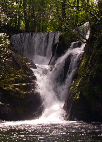 Waterfall Spring Watch Landscape Nature GIF 
