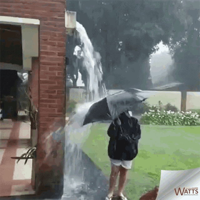 Woman With Umbrella Standing In Funny Rain GIF 