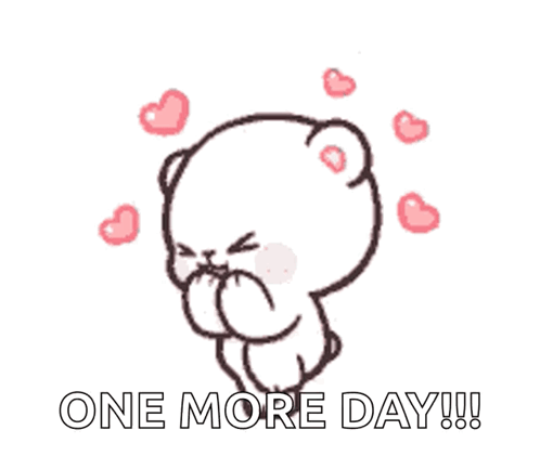 1 More Day White Cat Inlove GIF
