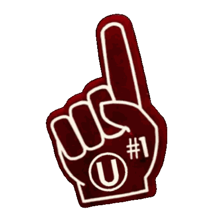 #1 U Foam Finger