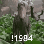 1984 Weird Wild Park GIF