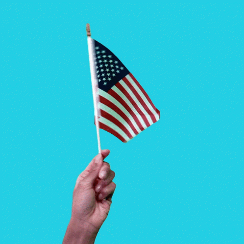 America Hand Flag Waving GIF