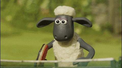 2 Black Sheep Table Tennis Competition GIF