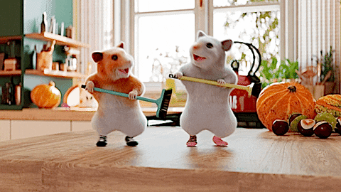 2 Hamster Dance While Holding Broom GIF