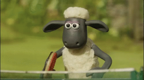 2 Sheep Playing Table Tennis GIF