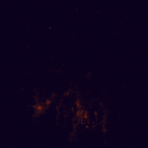 2024 Belongs Gif GIF