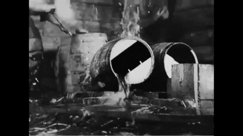 20s Alcohol Prohibition GIF