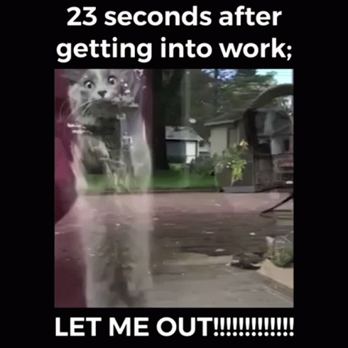 23 Seconds After Getting Work Let Me Out GIF