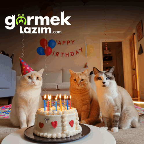 3 Cats Sitting At Birthday Cake GIF