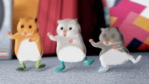 3 Hamster Dance Jumps Side To Side GIF