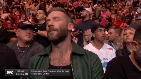 3 Julian Edelman Ufc Fighter GIF