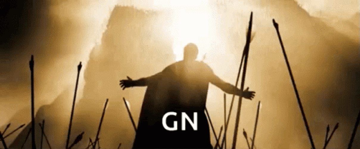 300 King Leonidas Embraces Death GIF