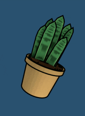 3d Cereus Jamacaru Plant Animation GIF