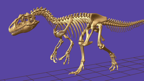 3D Dinosaur Skeleton GIF
