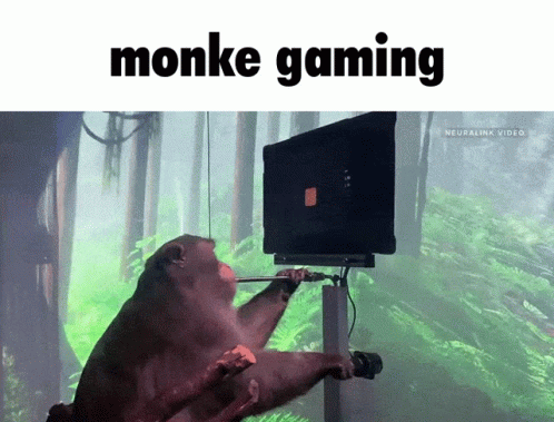 3d Monkey Computer Gaming GIF