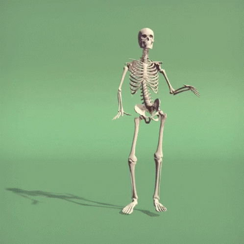 3D Skeleton Ribs and Pelvis