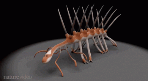 3D Worm with Nature Video Text