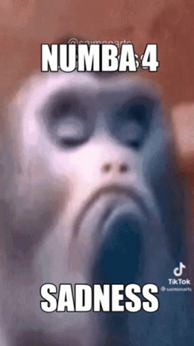 Numba 4 Monkey Sadness GIF
