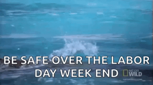 4 Day Weekend Be Save From Sharks GIF